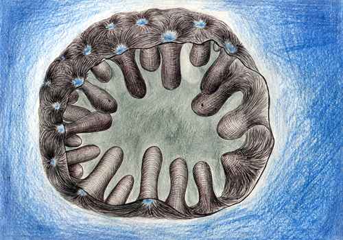 Сюрграфика А.Ненашева