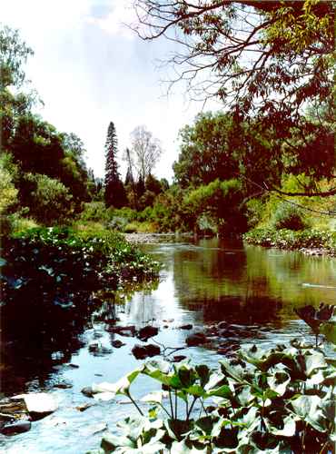 ���� �.����������