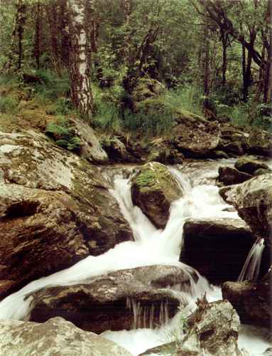 ���� �.����������