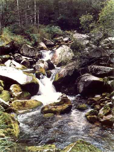 ���� �.����������