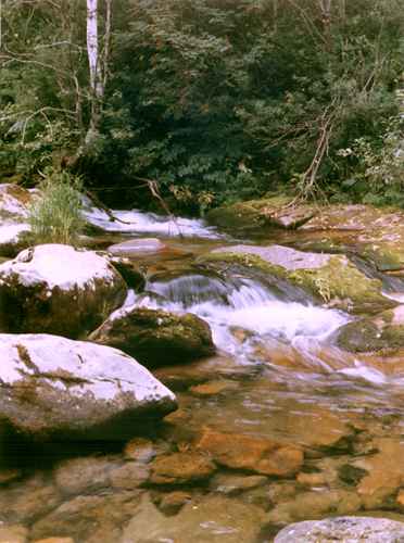 ���� �.����������