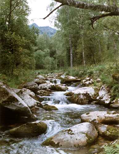 ���� �.����������