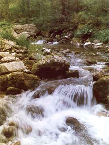 ���� �.����������