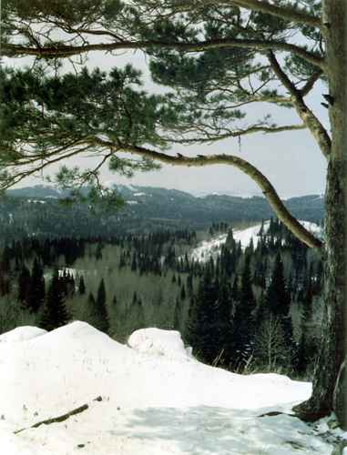 ���� �.����������